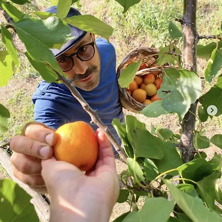 Il Riccio Alloggio per agriturismo Monticchio (Basilicata)