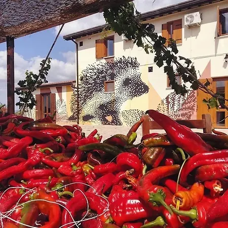 Il Riccio Monticchio (Basilicata)