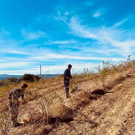 Il Riccio Agroturismo