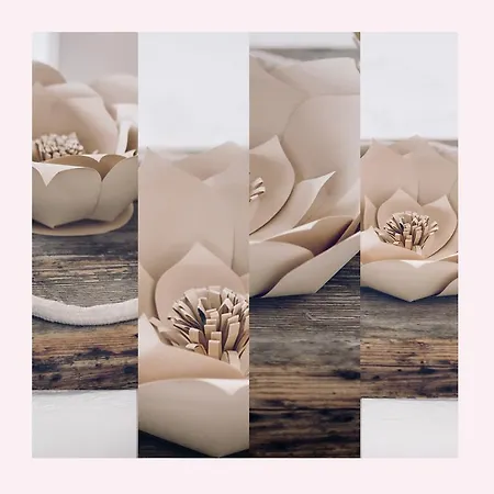 Il Riccio Alloggio per agriturismo