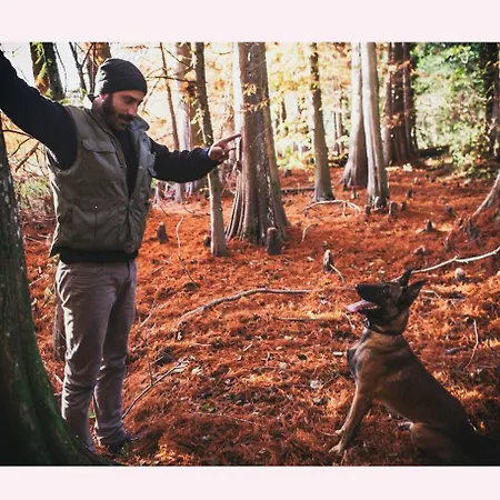 Alloggio per agriturismo Il Riccio Monticchio (Basilicata)