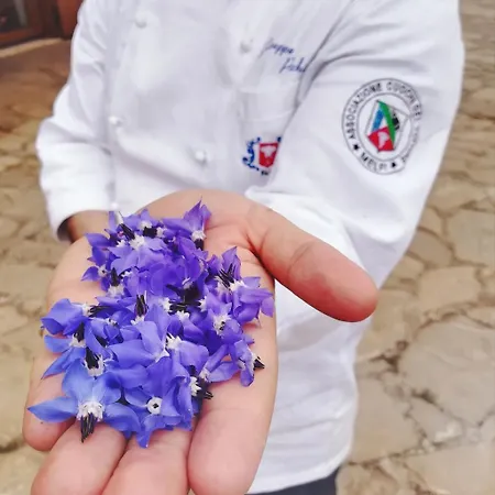 Il Riccio Monticchio (Basilicata)