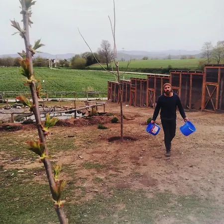 Il Riccio Farm stay *