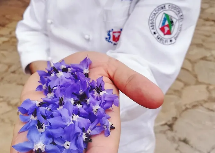 Il Riccio Monticchio (Basilicata)